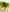 Promotion banner