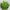 Promotion banner