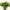 Promotion banner